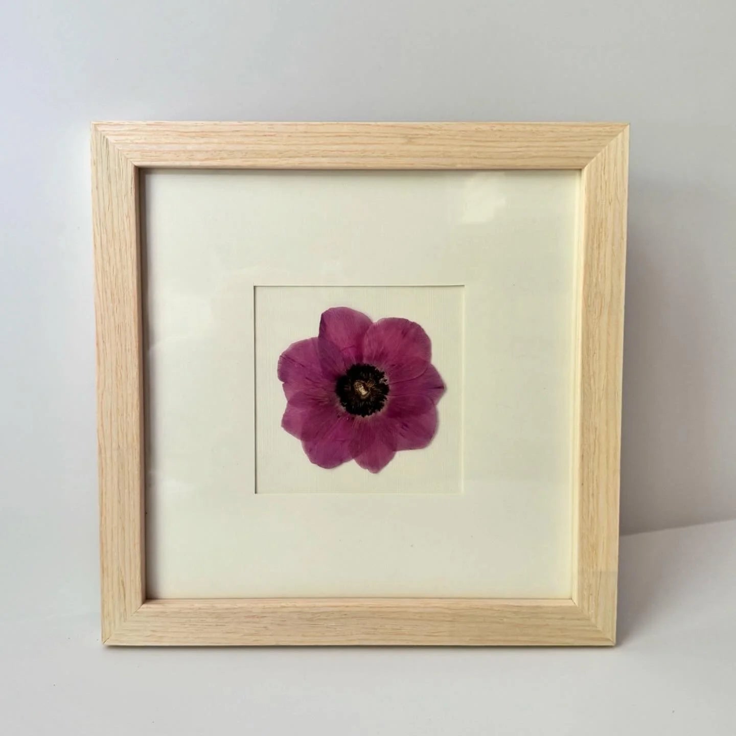 8x8 Single Bloom Mini