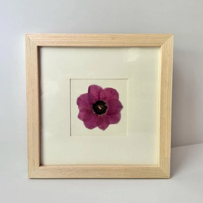 8x8 Single Bloom Mini